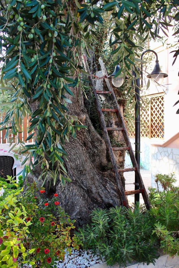 Villa Marchionna เวียสเต ภายนอก รูปภาพ